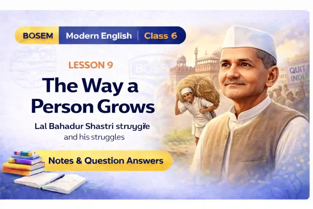 BOSEM Class 6 English Lesson 9 Question Answer